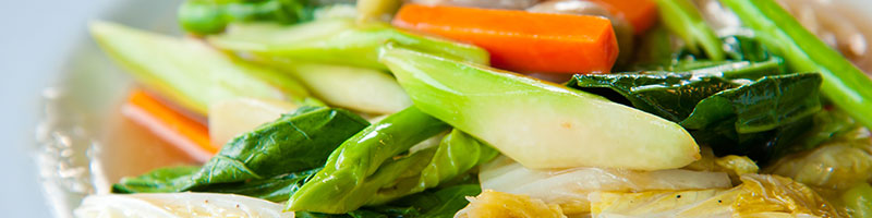 Vegetarisch